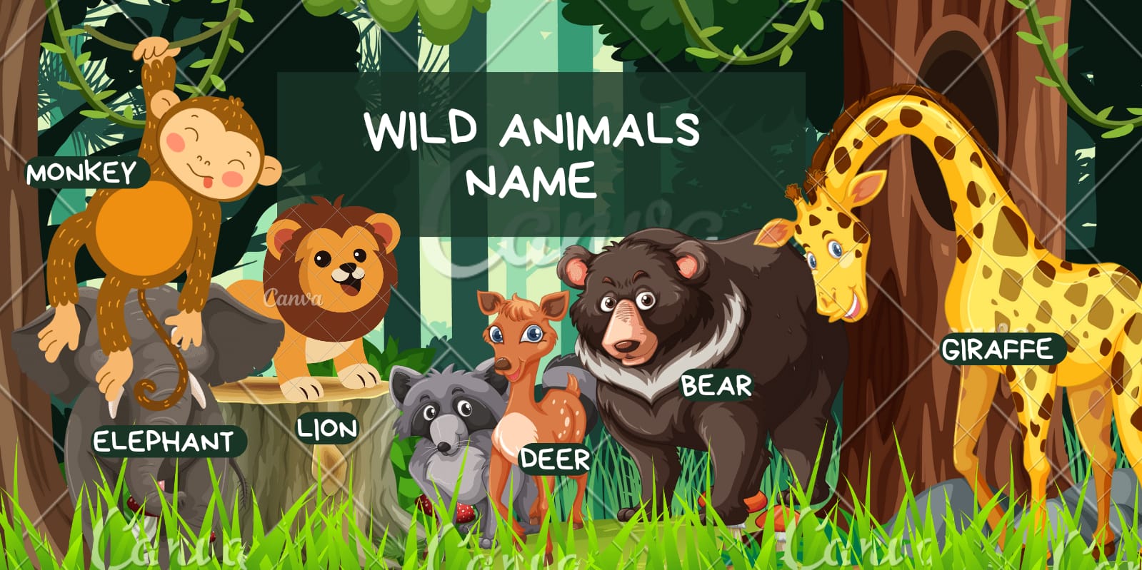 Wild animals name