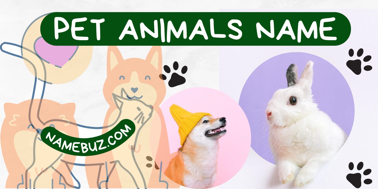 Pet animals name