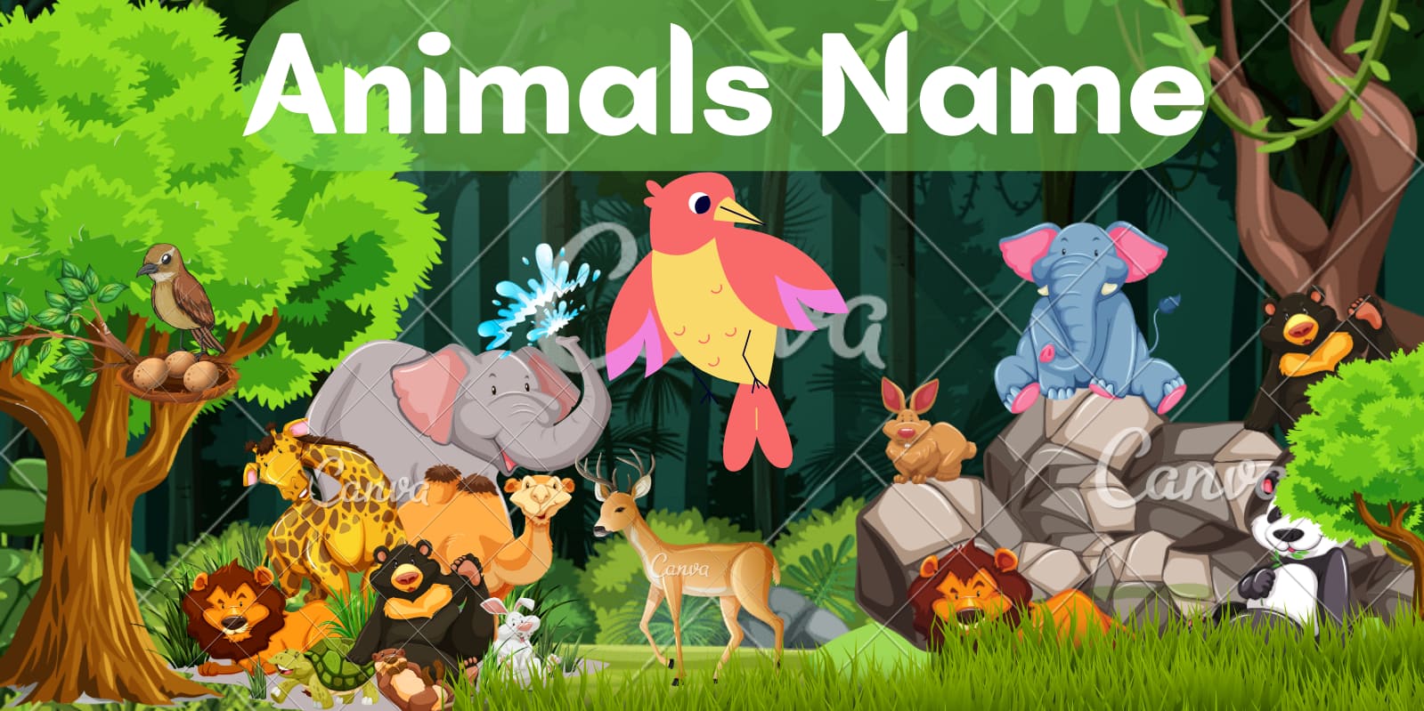 Animals names