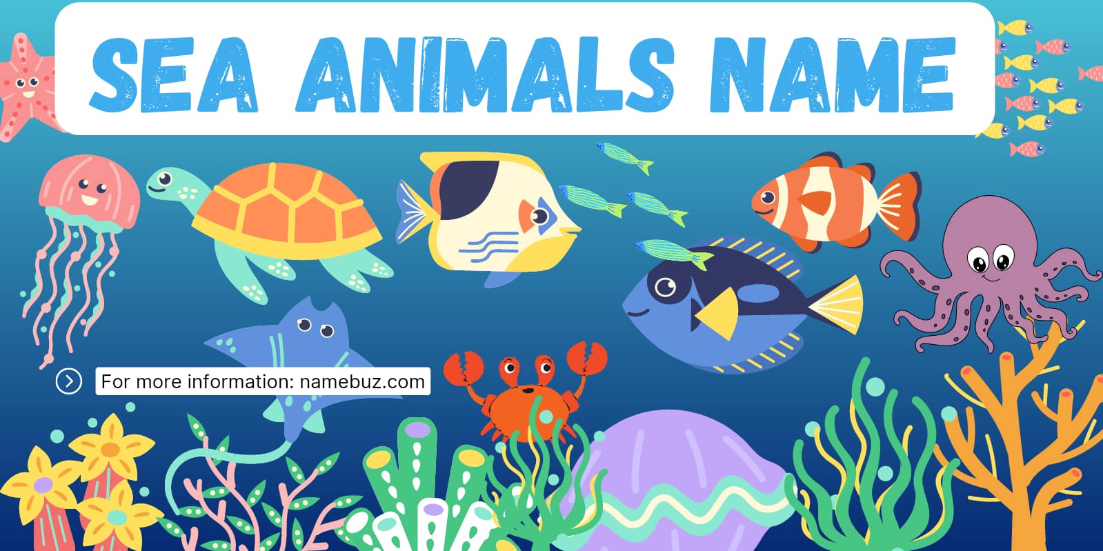 Sea animals name in English
