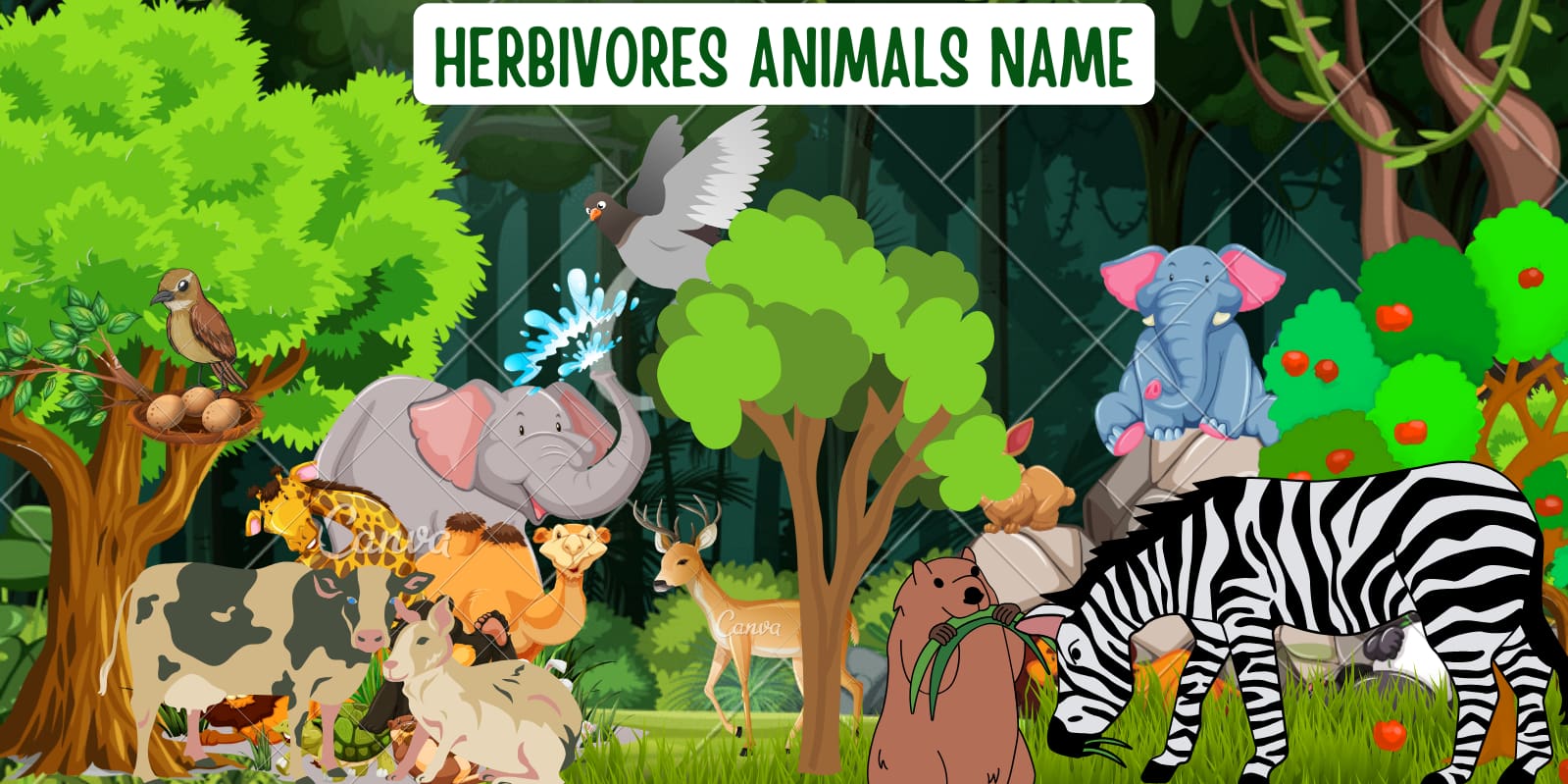Herbivores animals name