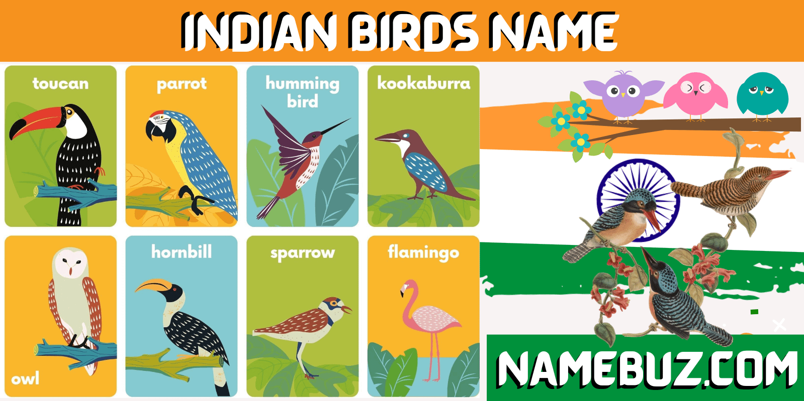 Indian birds name