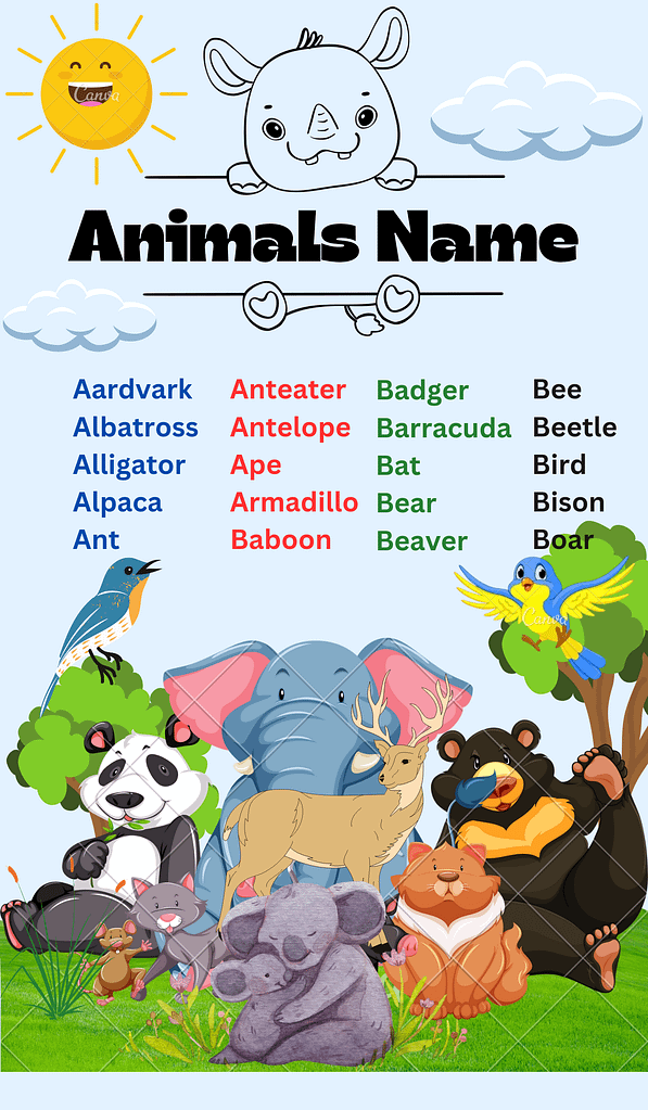 Animals name