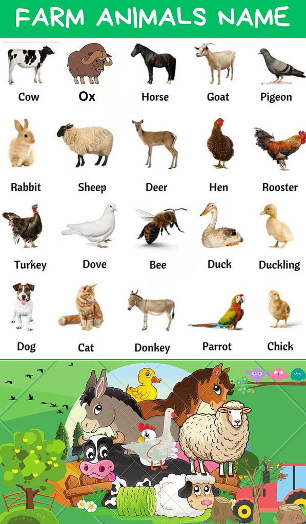 Farm animals name 
