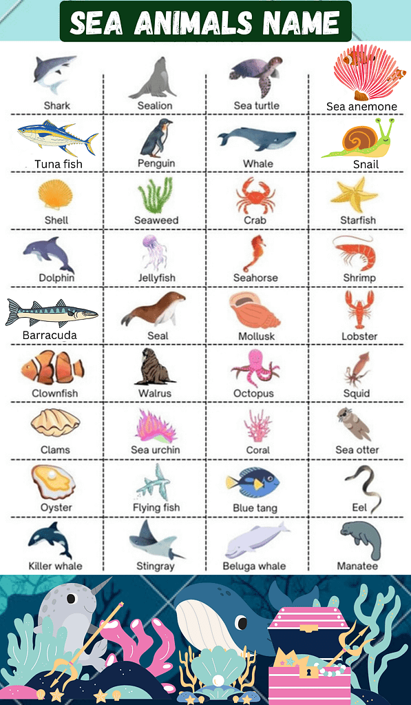 Sea animals name 