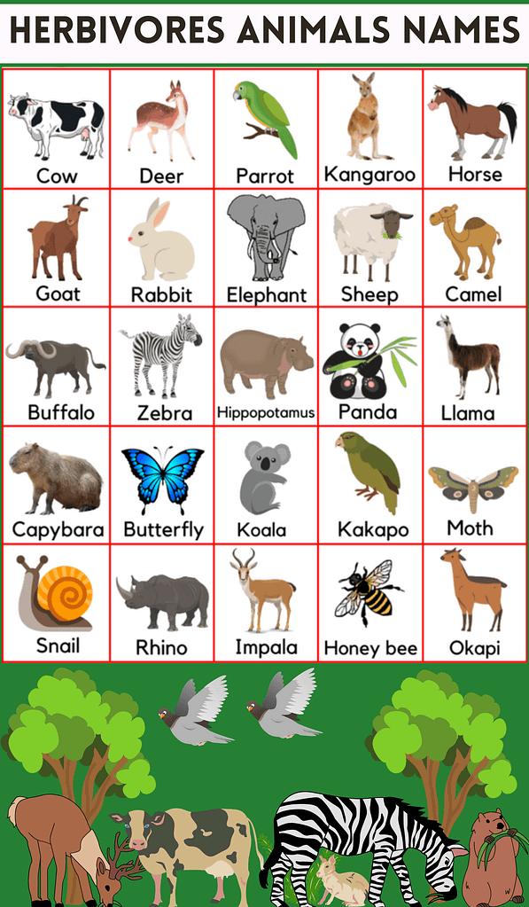 Herbivores animals name 