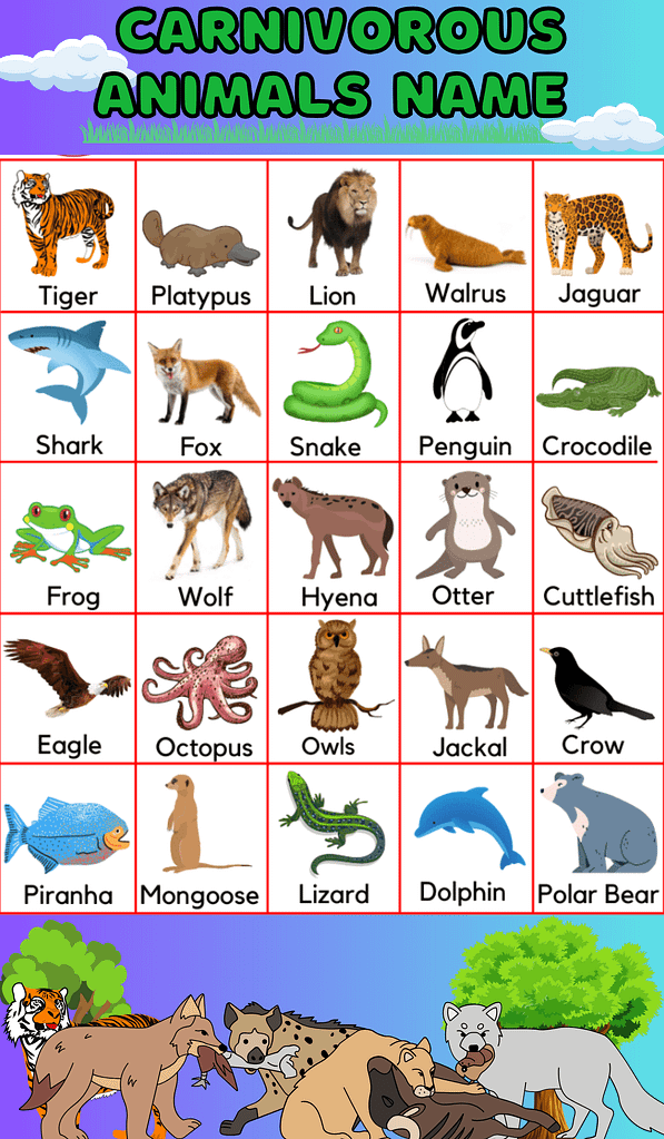 Comprehensive List of Over 300 carnivorous animals name in English with ...