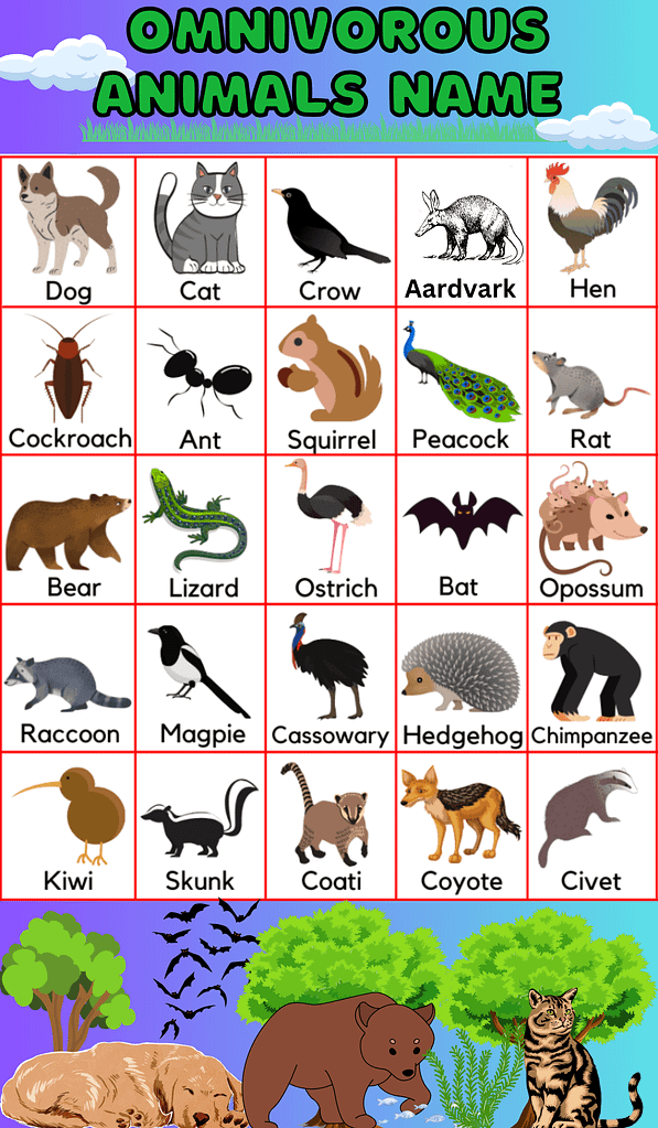 omnivorous animals name