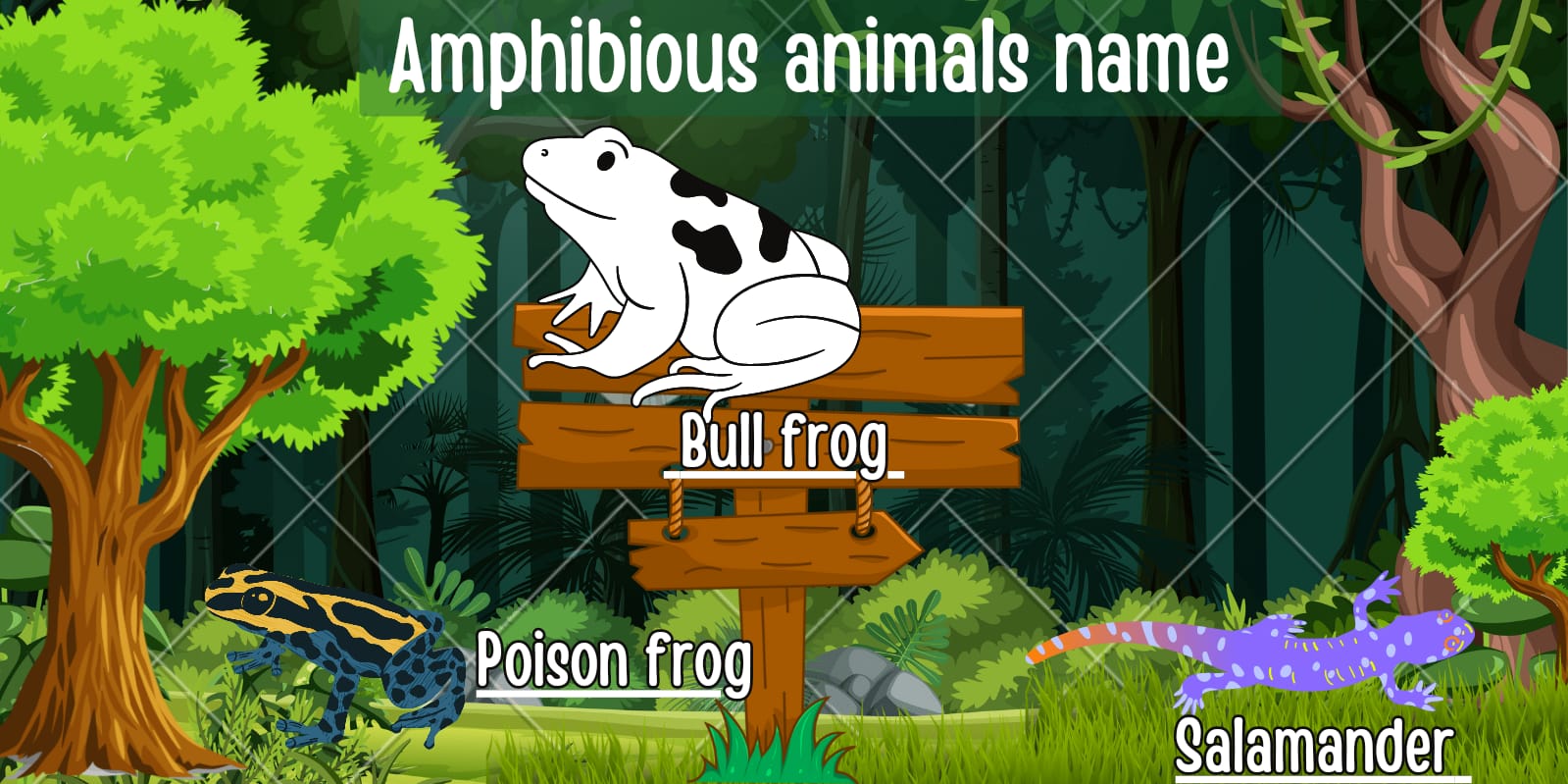 Explore Over 150 Amphibious Animals name in English with pictures: From